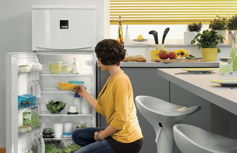 GUÍAS DE COMPRA ZANUSSI